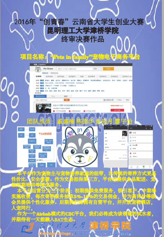 4-戚盛楠 宠物平台海报电子版