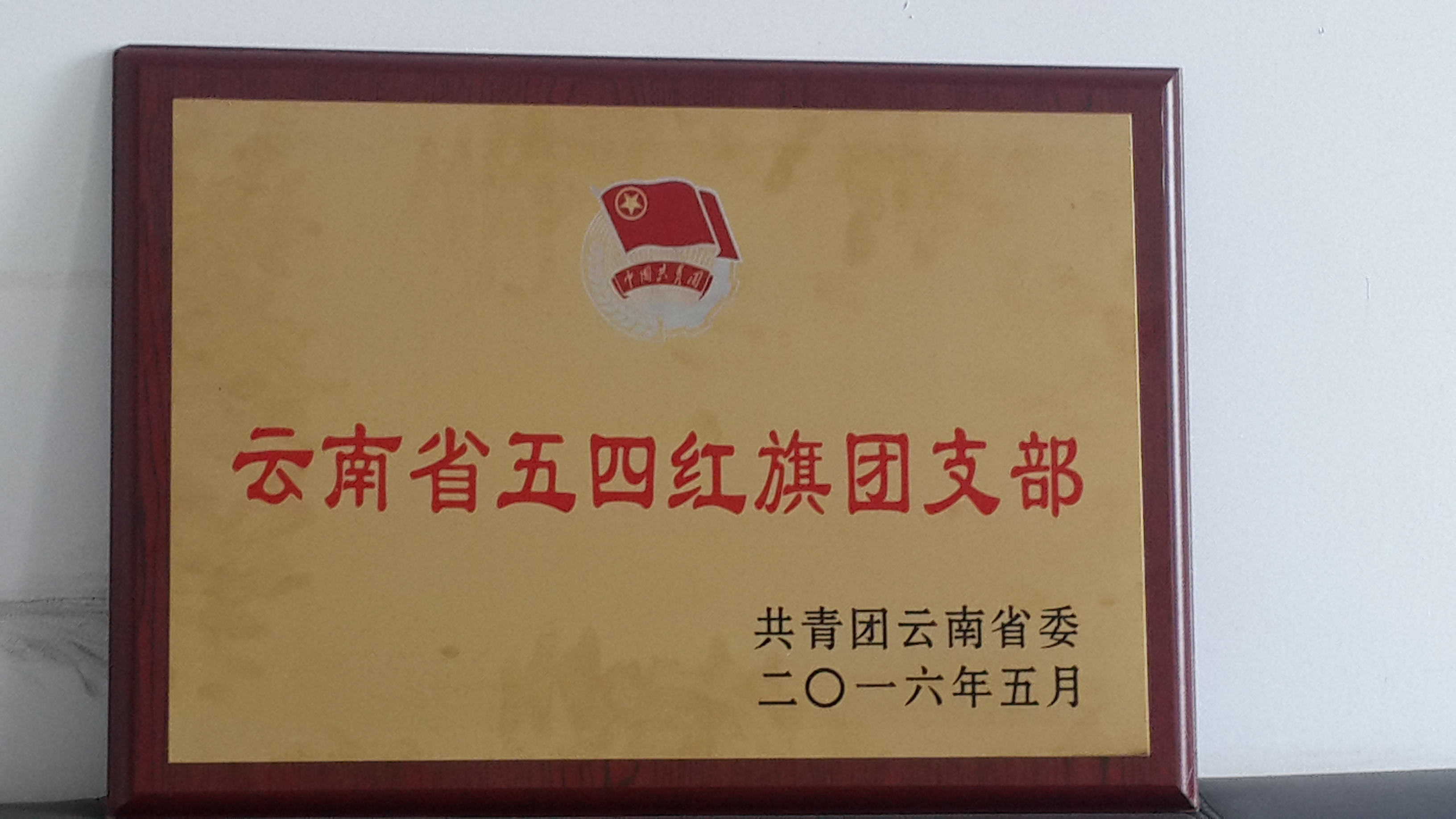 云南省五四红旗团（总支）支部