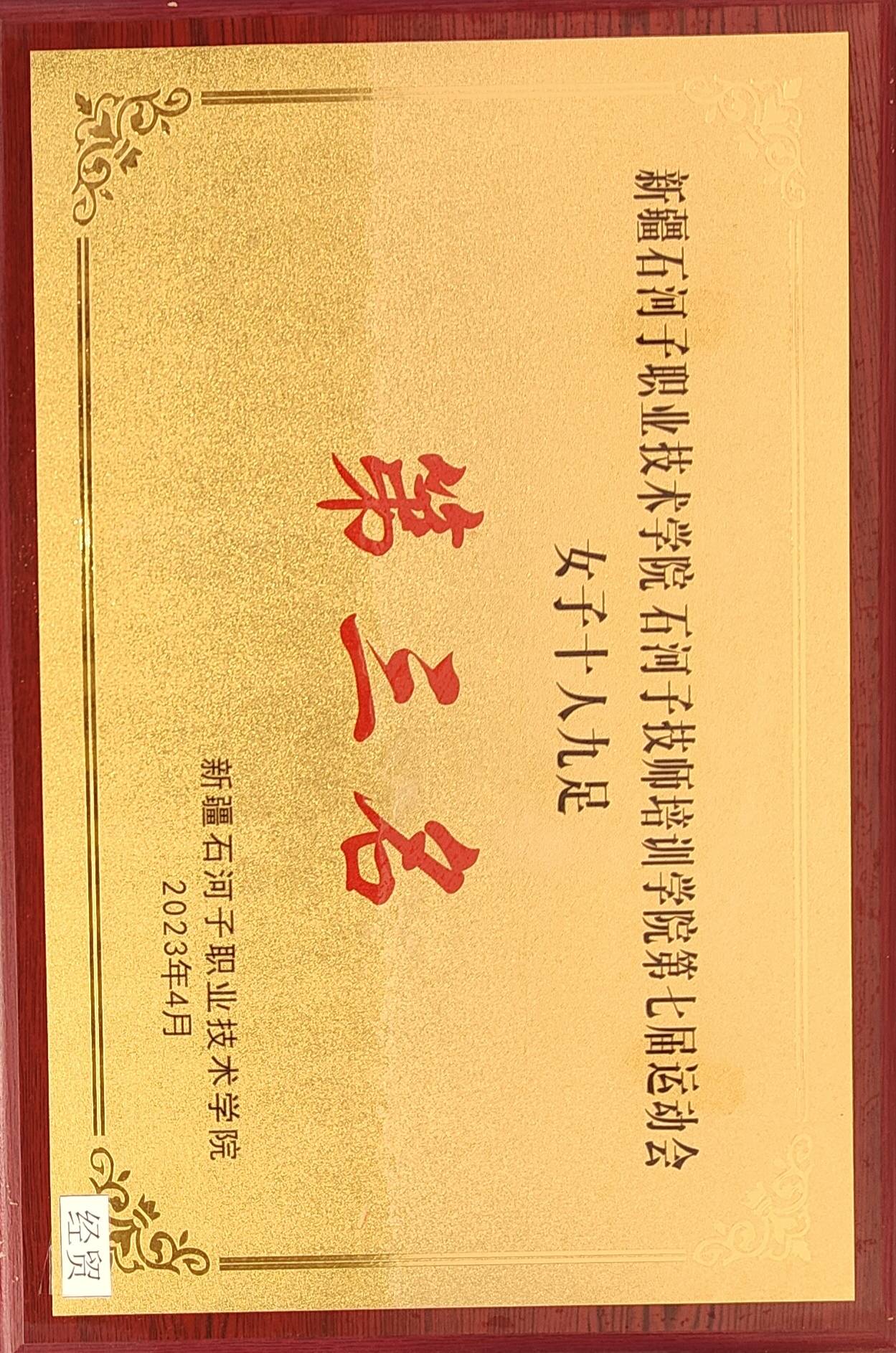 荣获beat365唯一官方网站第七届运动会 女子十人九足  第三名