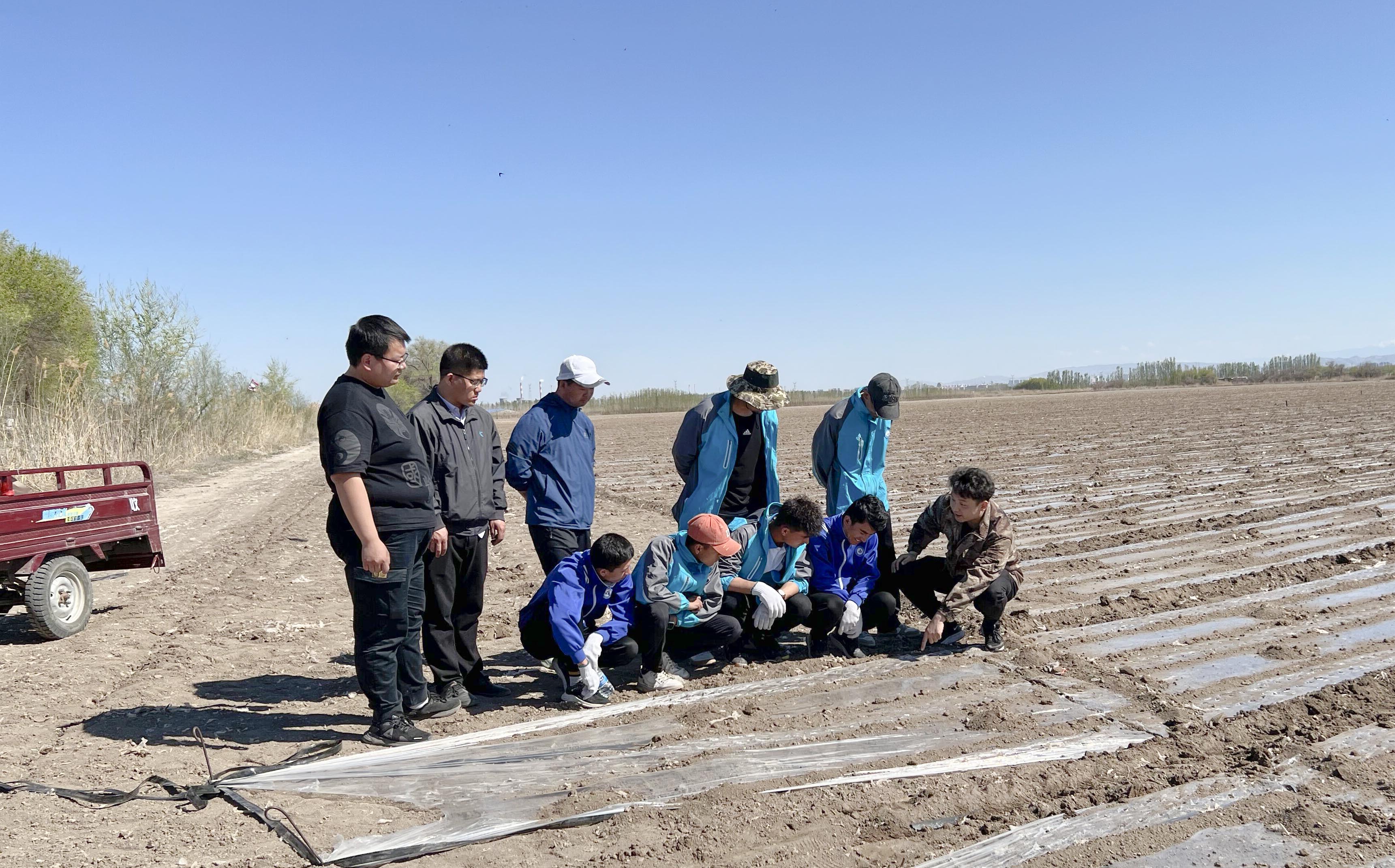 机械电气工程分院开展春季播种实习