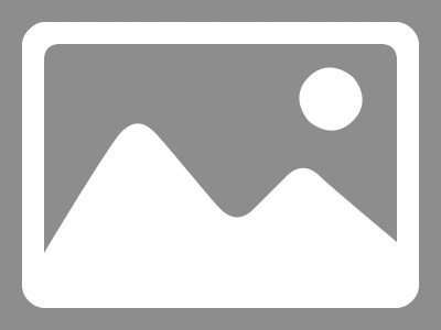 beat365唯一官方网站 公共基础学院党组织机构设置